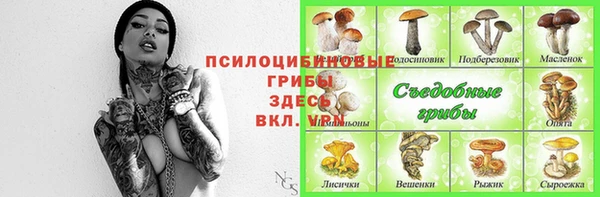 ПСИЛОЦИБИНОВЫЕ ГРИБЫ Армянск