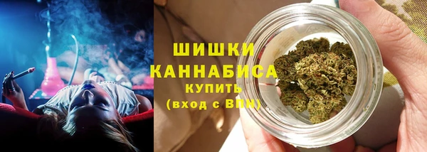 apvp Аркадак