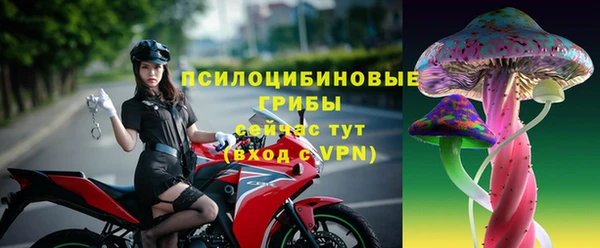 ПСИЛОЦИБИНОВЫЕ ГРИБЫ Армянск