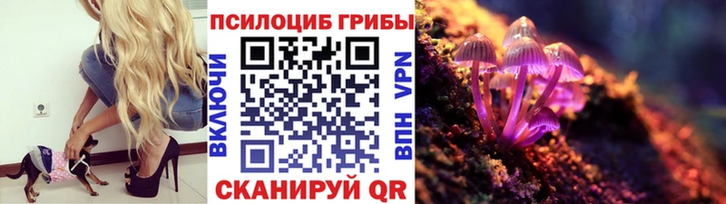 darknet официальный сайт  Новодвинск  Псилоцибиновые грибы Magic Shrooms 