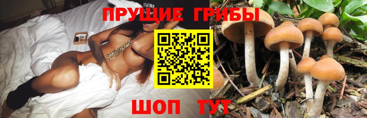 Псилоцибиновые грибы Cubensis  Галлюциногенные грибы мухоморы  Новодвинск  Вход с VPN 